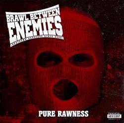 Brawl Between Enemies : Pure Rawness